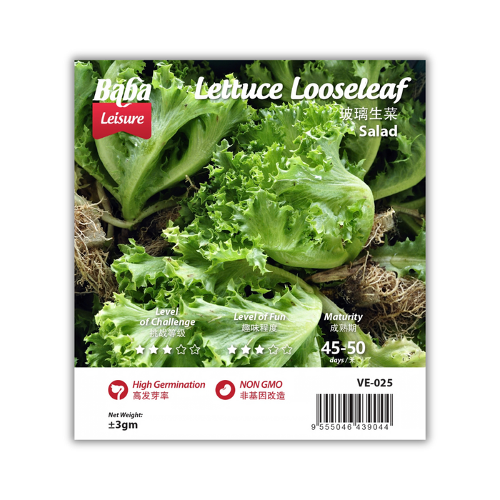 Baba Smart Grow Seed: VE-025 Lettuce Looseleaf
