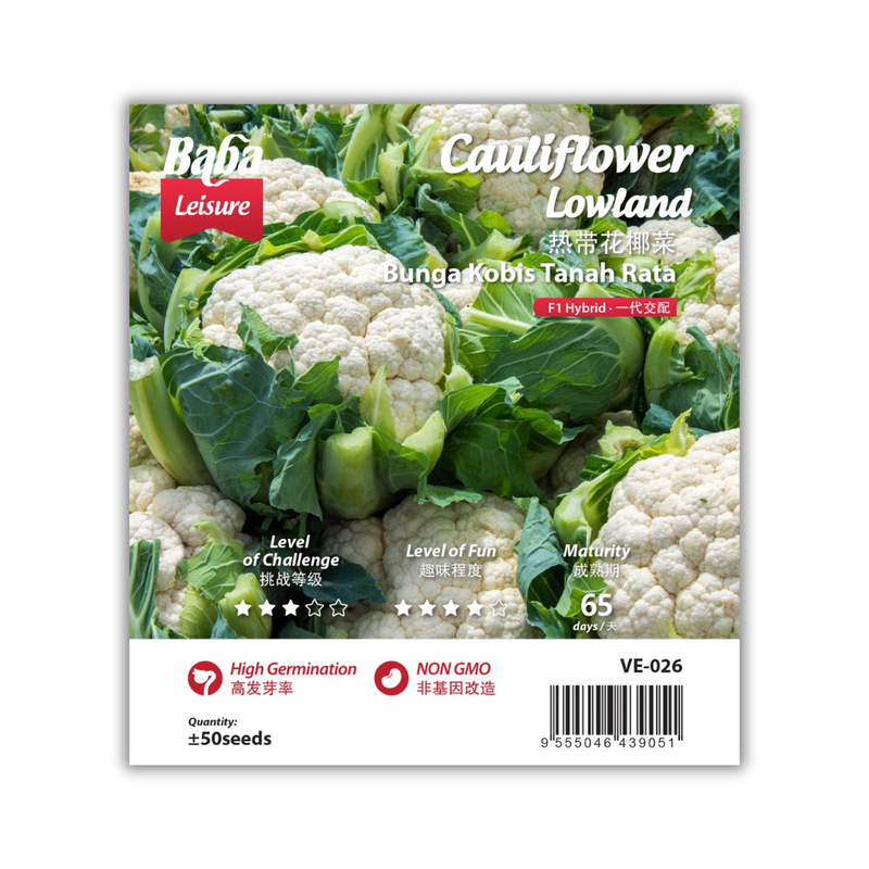 Baba Smart Grow Seed: VE-026 F1 Cauliflower Lowland
