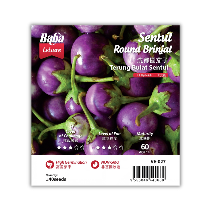 Baba Smart Grow Seed: VE-027 F1 Sentul Round Brinjal