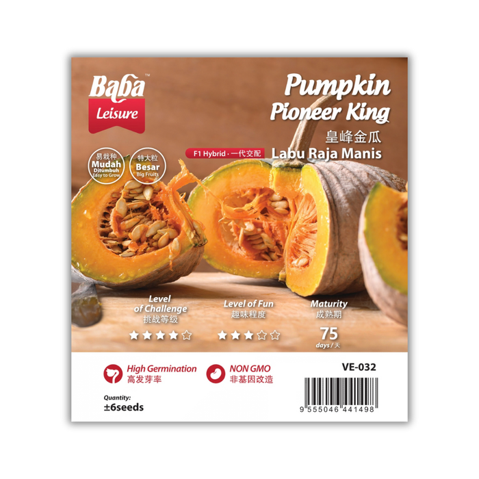 Baba Smart Grow Seed: VE-032 F1 Pumpkin Pioneer King