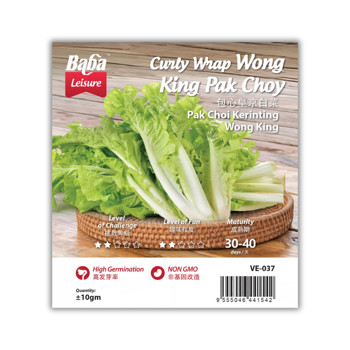 Baba Smart Grow Seed: VE-037 Curly Wrap Wong King Pak Choy