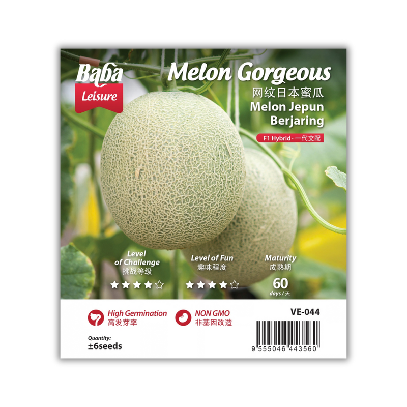 Baba Smart Grow Seed: VE-044 F1 Melon Gorgeous