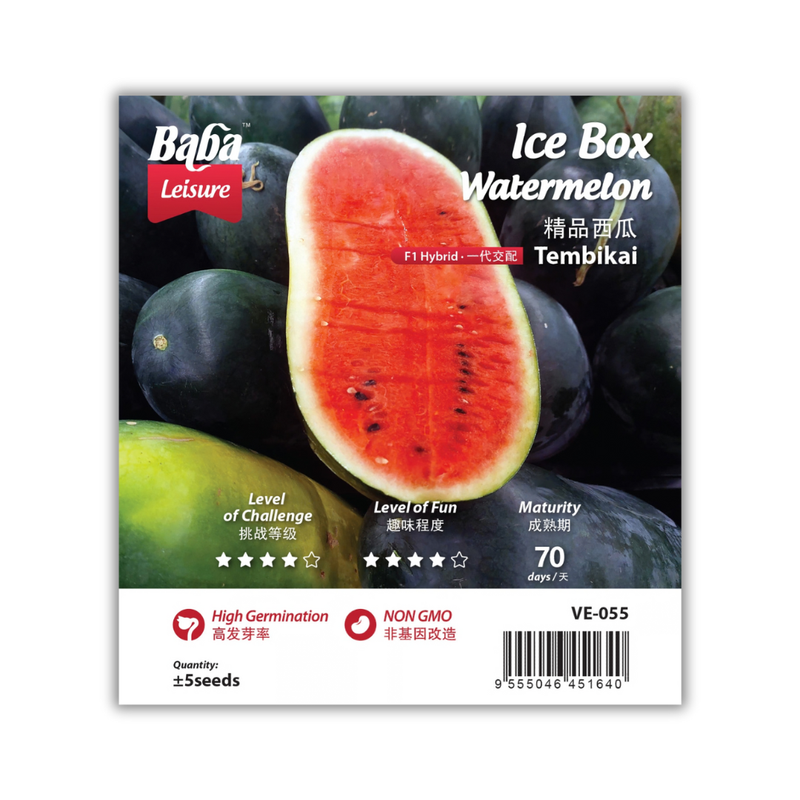Baba Smart Grow Seed: VE-055 Ice Box Watermelon