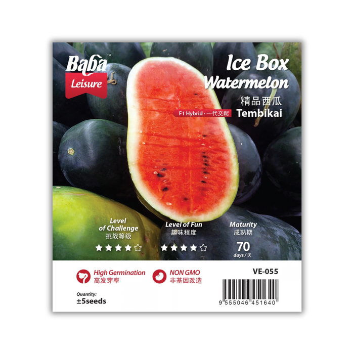 Baba Smart Grow Seed: VE-055 Ice Box Watermelon