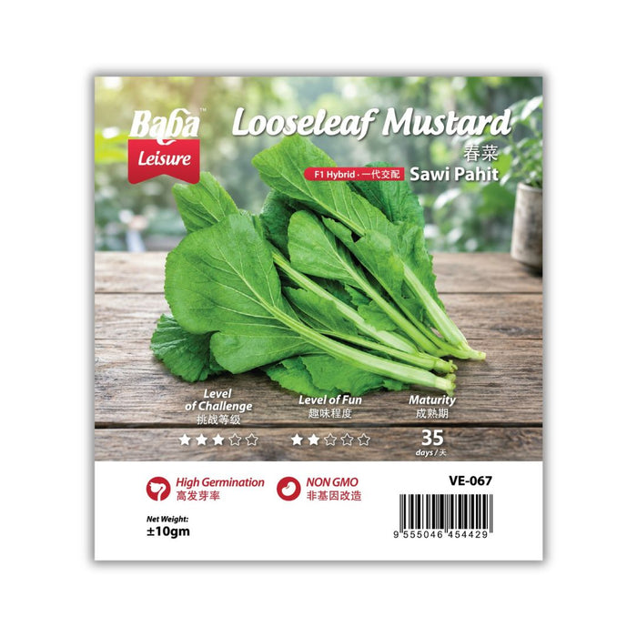 Baba Smart Grow Seed: VE-067 Loose Leaf Mustard