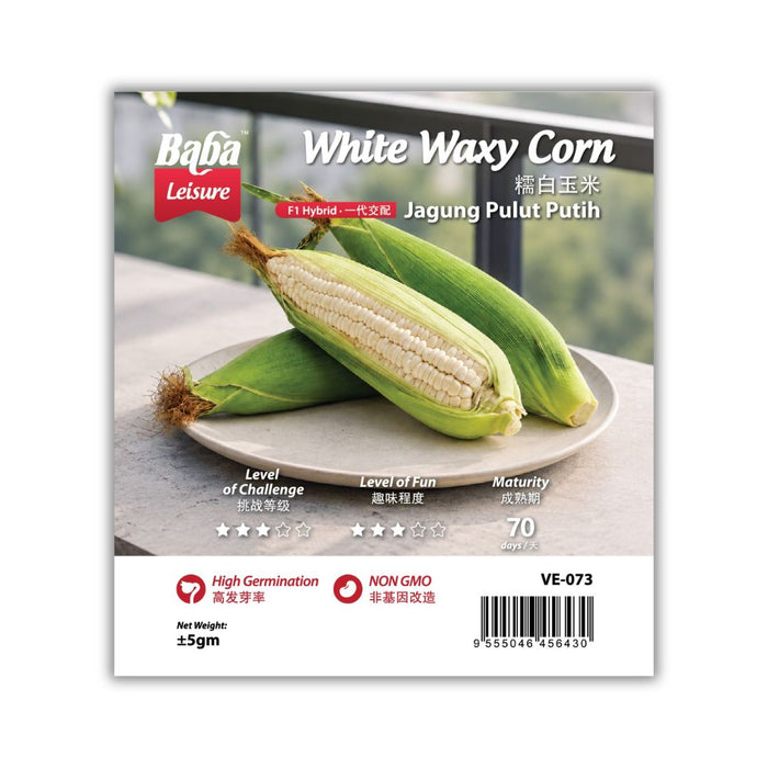 Baba Smart Grow Seed: VE-073 White Waxy Corn