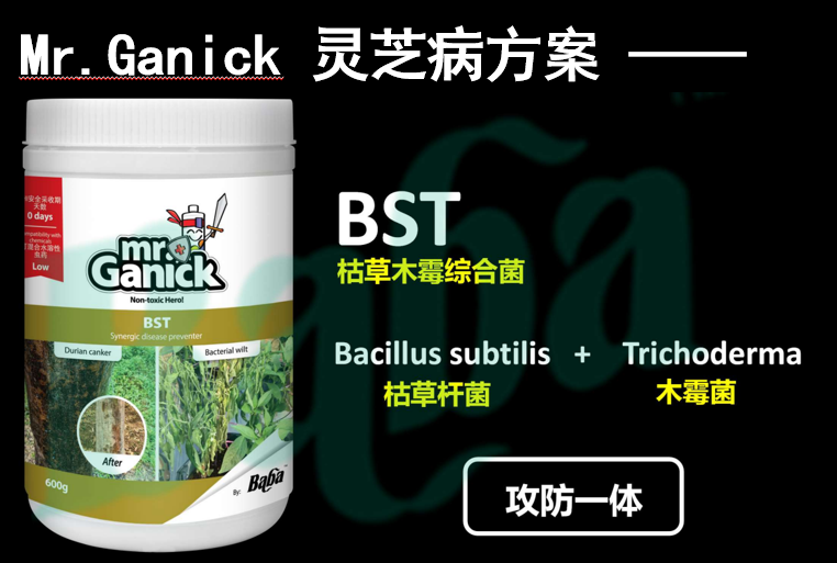 [PRE-ORDER] Farmer Pack- Mr Ganick BST Bacillus Subtilis Trichoderma (600G/ 2KG)