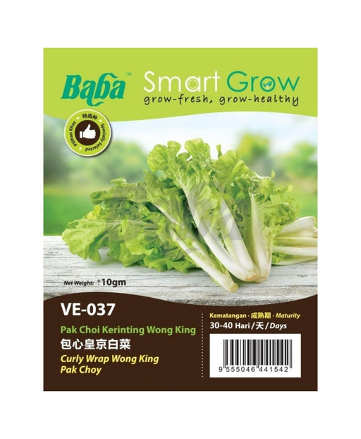 Baba Smart Grow Seed: VE-037 Curly Wrap Wong King Pak Choy-Seeds-Baba E Shop