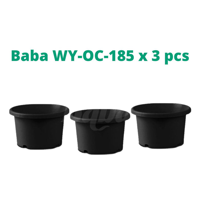 3pcs Baba Orchid Flower Pot【WY-OC-185/ WY-OC-200】