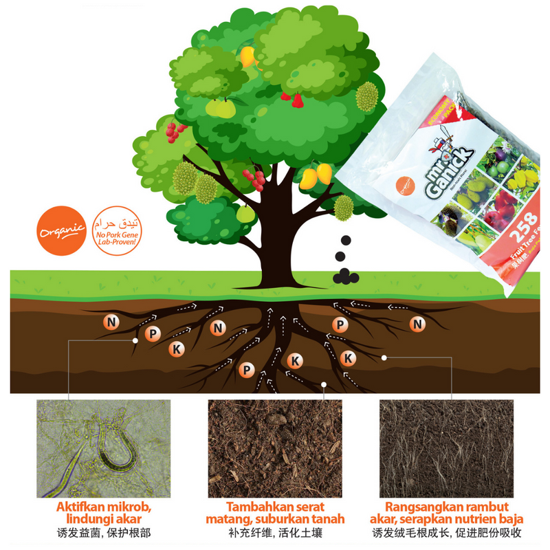 Mr Ganick 258 Organic Fruit Tree Fertilizer (1kg/4kg)