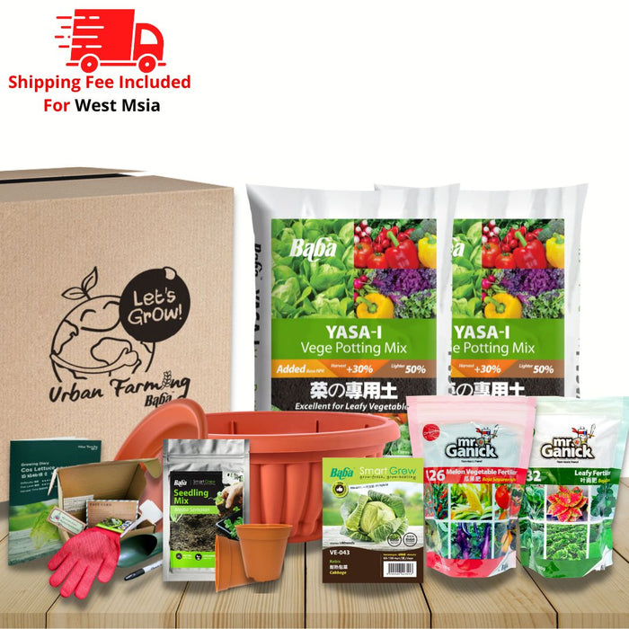 Urban Farming Package - Cabbage