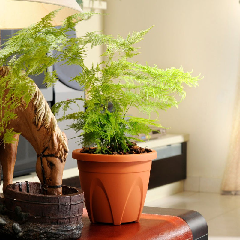 Baba Arch Series Biodegradable Flower Pot【AR-230/ AR-280/ AR-330】