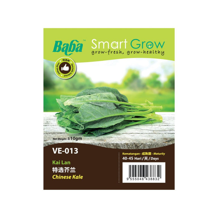 Baba Smart Grow Seed: VE-013 Chinese Kale
