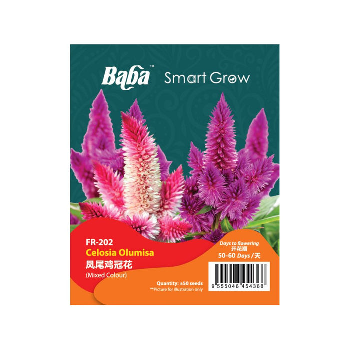 Baba Smart Grow Seed: FR-202 Celosia Olumisa