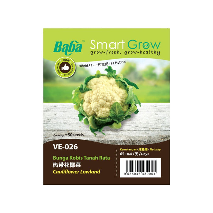 Baba Smart Grow Seed: VE-026 F1 Cauliflower Lowland