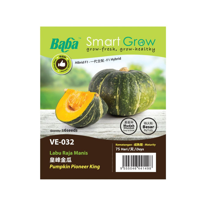 Baba Smart Grow Seed: VE-032 F1 Pumpkin Pioneer King