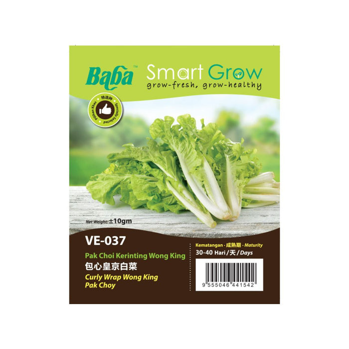 Baba Smart Grow Seed: VE-037 Curly Wrap Wong King Pak Choy