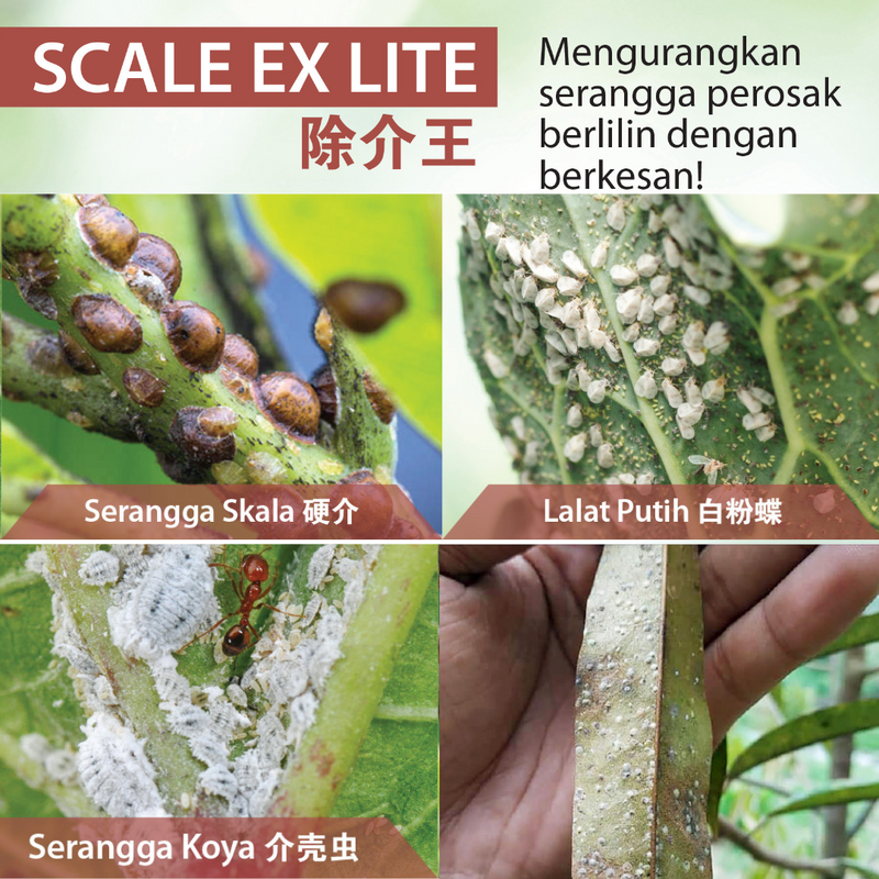 [PRE-ORDER] Farmer Pack- Mr Ganick Scale Ex Lite Concentrated (4L)