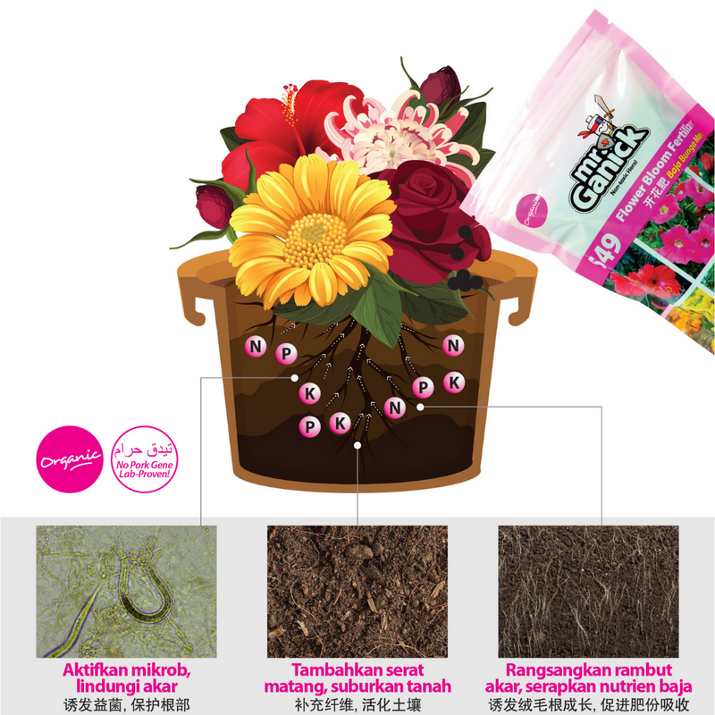 Mr Ganick 549 Organic Flower Bloom & Stem Fertilizer (400gm/1kg/4kg)