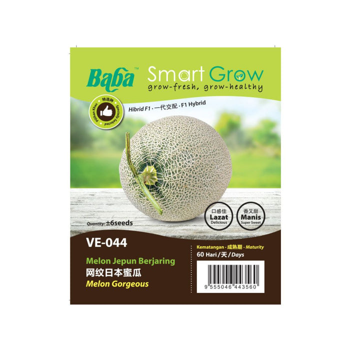 Baba Smart Grow Seed: VE-044 F1 Melon Gorgeous