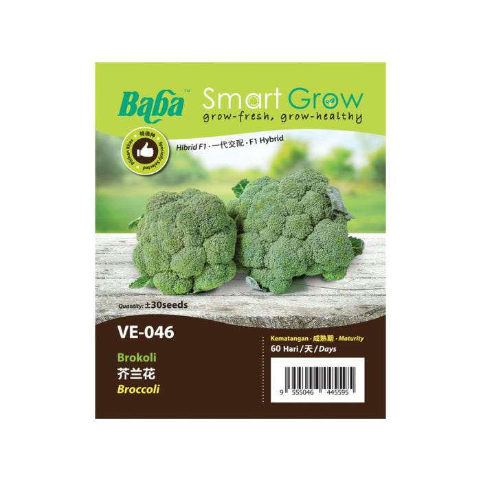 Baba Smart Grow Seed: VE-046 F1 Broccoli