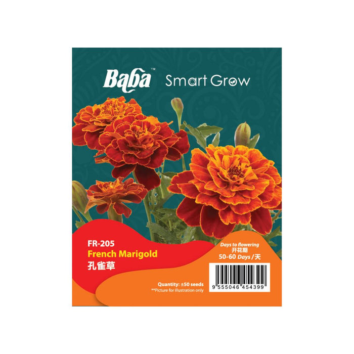 Baba Smart Grow Seed: FR-205 French Marigold