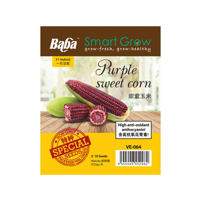 Baba Smart Grow Seed: VE-064 F1 Purple Sweet Corn