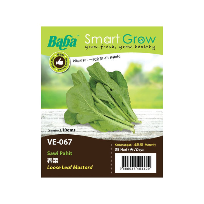 Baba Smart Grow Seed: VE-067 Loose Leaf Mustard