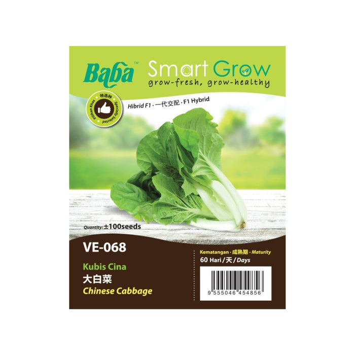 Baba Smart Grow Seed: VE-068 Chinese Cabbage