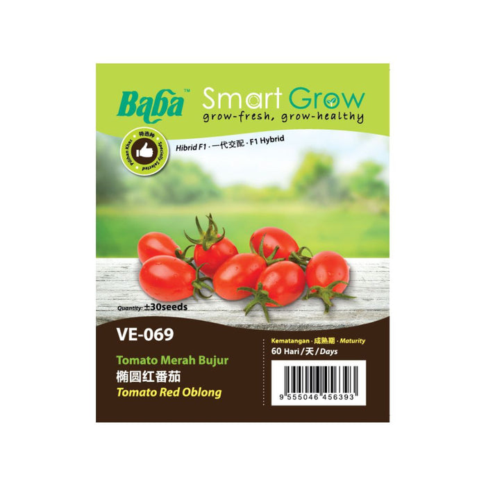 Baba Smart Grow Seed: VE-069 F1 Tomato Red Oblong