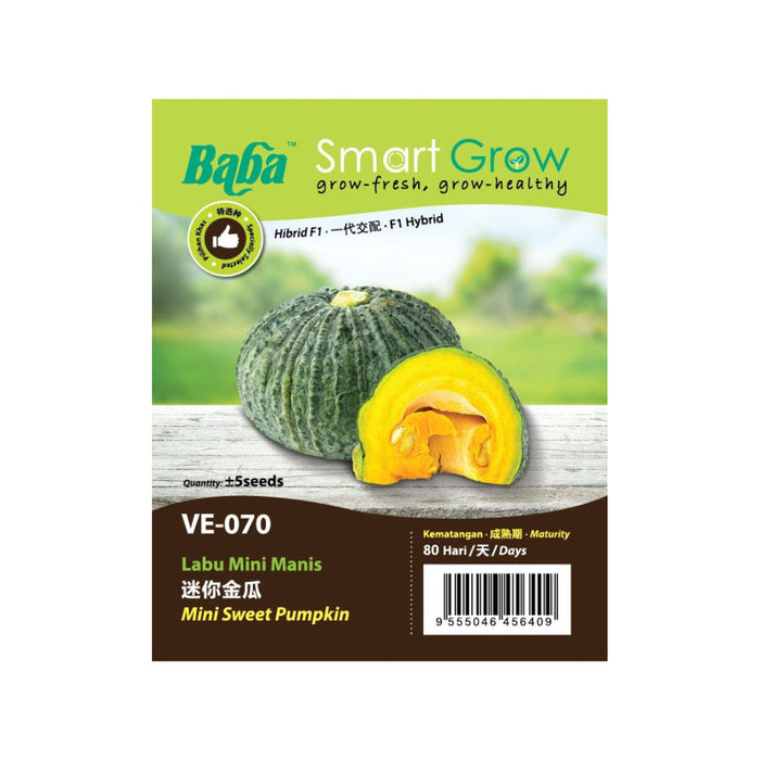 Baba Smart Grow Seed: VE-070 Mini Sweet Pumpkin