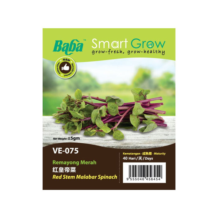 Baba Smart Grow Seed: VE-075 Red Stem Malabar Spinach