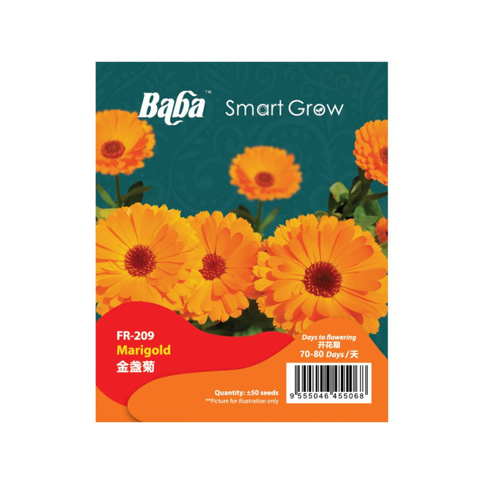 Baba Smart Grow Seed: FR-209 Marigold