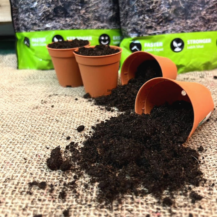 Baba Seedling Mix (3L)