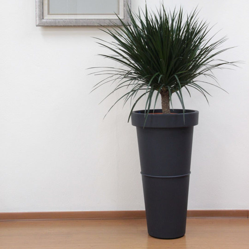 Baba Decorative Pot【NB-450】