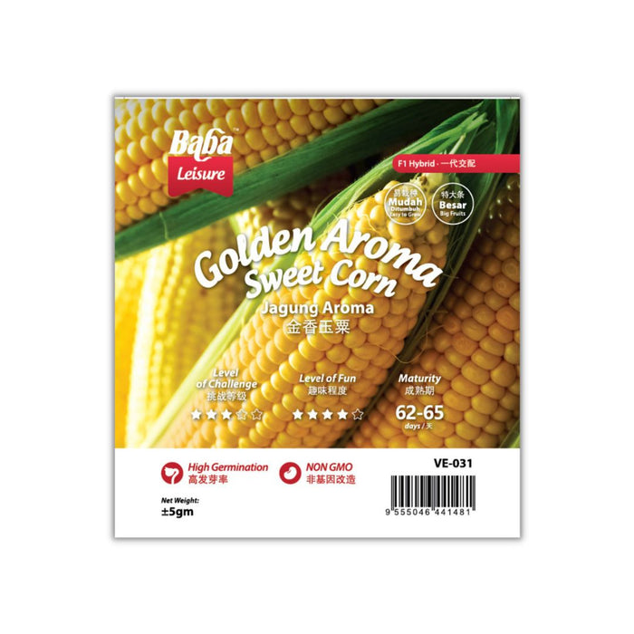 Baba Smart Grow Seed: VE-031 F1 Pearl Gold Sweet Corn