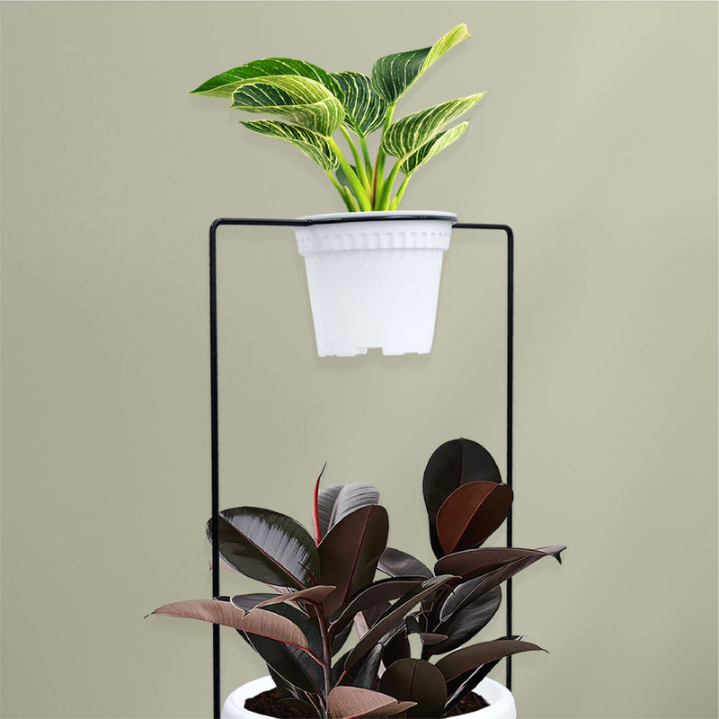 WT - 71 Pot Iron Stand