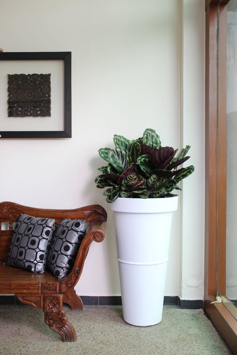 Baba Decorative Pot【NB-450】