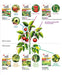 Farmer Pack - Mr Ganick Pro Series Vita TE+ (1KG)-Organic Fertilizer & Pesticide-Baba E Shop