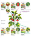 Farmer Pack - Mr Ganick Pro Series VitaMix+ (1KG)-Organic Fertilizer & Pesticide-Baba E Shop