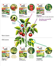 Farmer Pack - Mr Ganick Pro Series VitaCa+ (1KG)-Organic Fertilizer & Pesticide-Baba E Shop