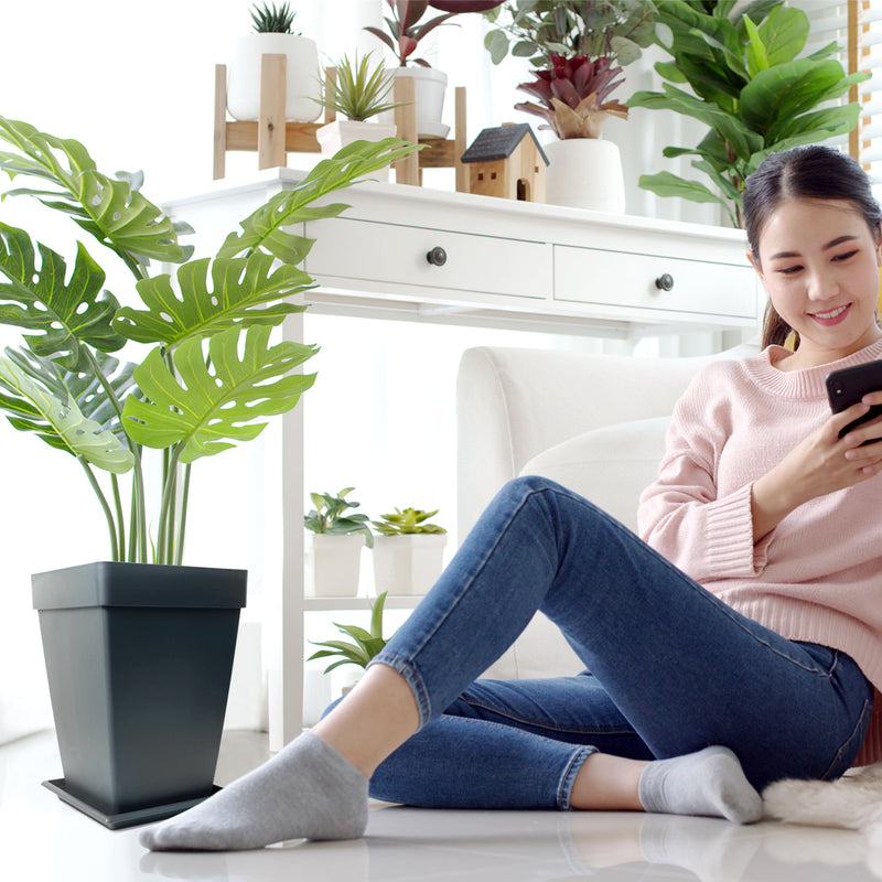 Baba Santorini Biodegradable Square Pot【BI-SPH-145/ BI-SPH-220/ BI-SPH-300/ SPH-400】