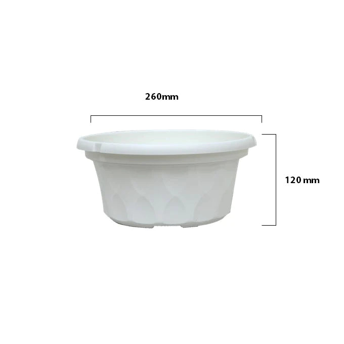 BABA SC-260 Biodegradable Flower Pot