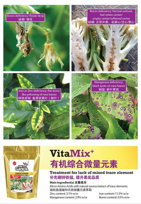 Farmer Pack - Mr Ganick Pro Series VitaMix+ (1KG) - Organic Fertilizer & Pesticide - Baba E Shop
