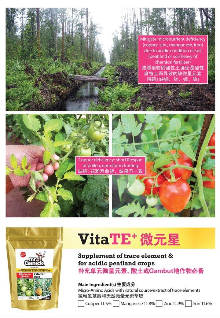 Farmer Pack - Mr Ganick Pro Series Vita TE+ (1KG) - Organic Fertilizer & Pesticide - Baba E Shop
