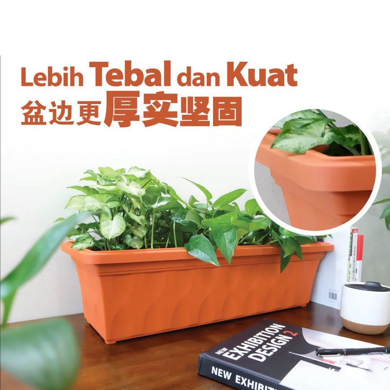 Baba Diamond Series Biodegradable Planter Box【BI-528/ BI-529】