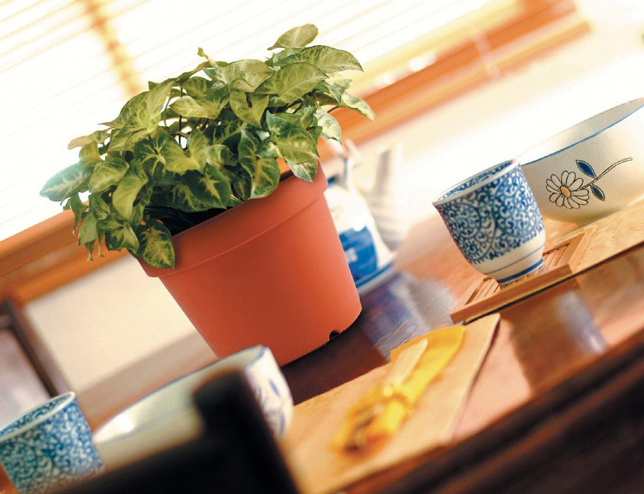 BABA TN-3450-A Flower Pot-Flower Pot-Baba E Shop