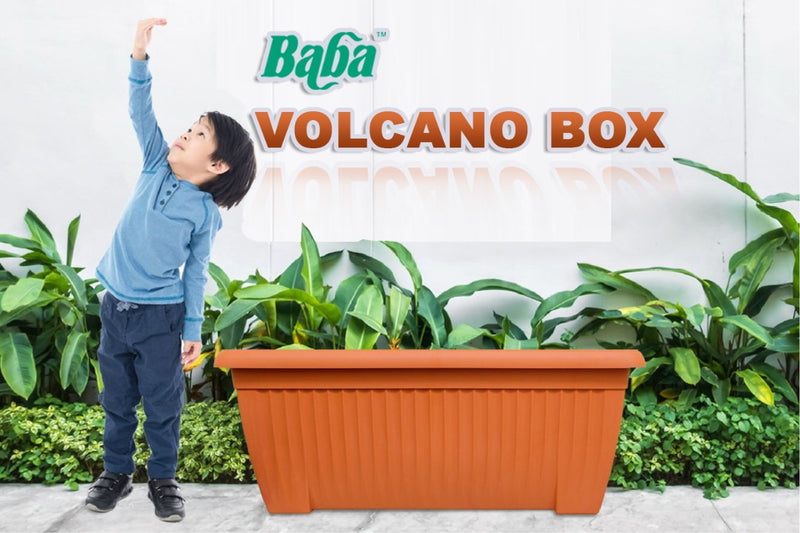 Baba Hekla Series 537 Volcano Box