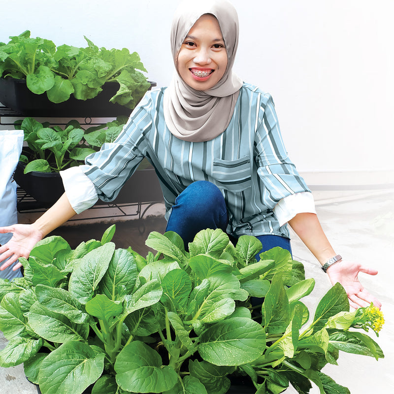 Baba Yasa-i Super Vege Tray